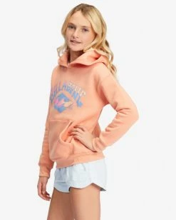 Promo 🎁 Billabong 👧 Girls' Aloha Forever Graphic Hoodie CANYON SUNSET 🤩 -Girls Sales Store abgsf00155 billabongw nhy0 sd1 1
